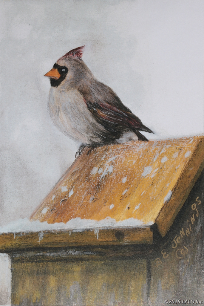 Winter Cardinal by Barbara E. Jennings
