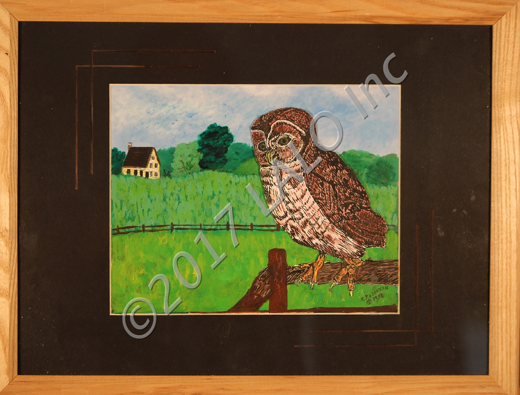 Owl at the Farm by Charles Lickson