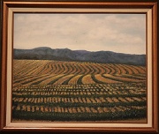 Fields by Barbara E. Jennings
