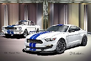 1966-2016 Ford Mustang Shelby GT350 - The Legend Lives by Danny Whitfield