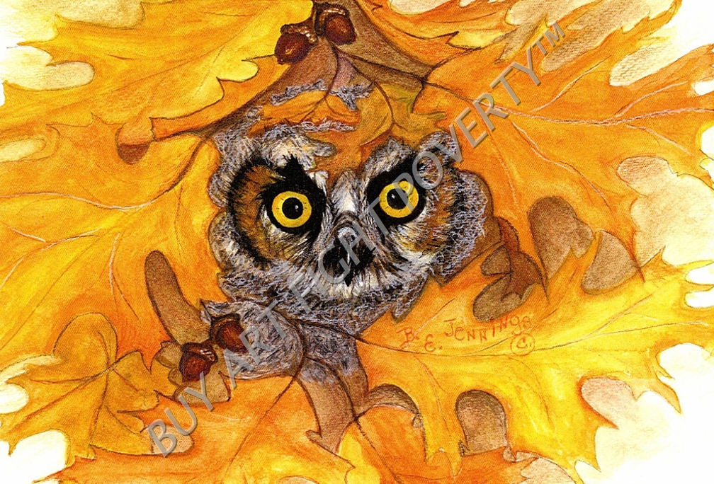 BJ_2017_001_Autumn Owl Wisdom