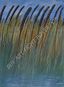 CL_2017_011_Cattails in the Wind