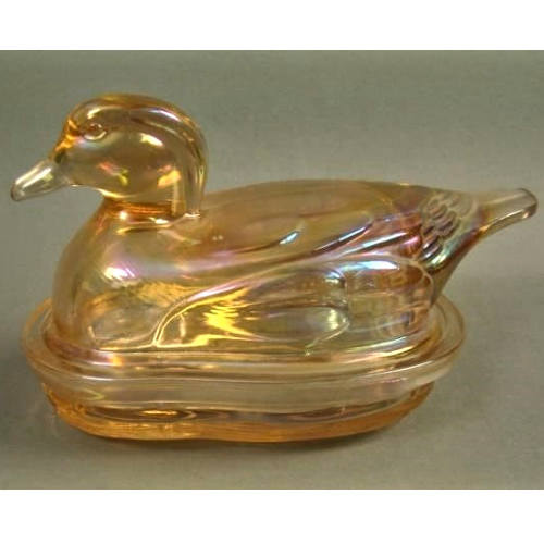 Covered Duck