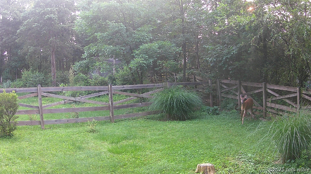 DSCF0014