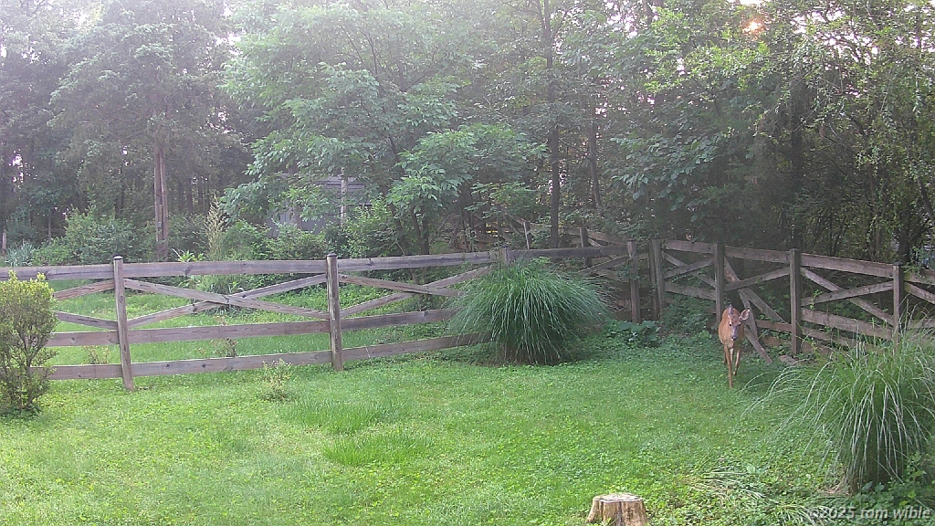 DSCF0015