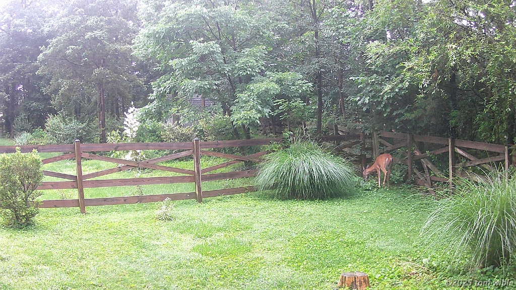 DSCF0049