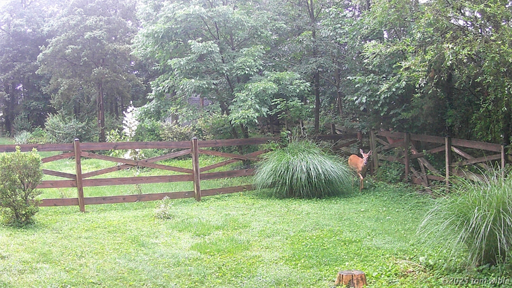 DSCF0051