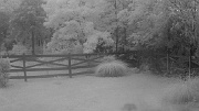 DSCF0001