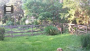 DSCF0004