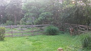 DSCF0014