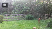 DSCF0016