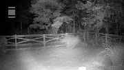 DSCF0022