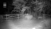 DSCF0024