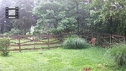 DSCF0050