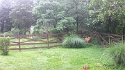 DSCF0051