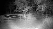 DSCF0054