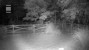 DSCF0065