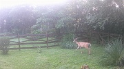 DSCF0074