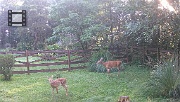 DSCF0083