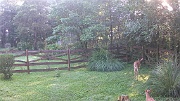 DSCF0084