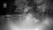 DSCF0089