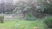 DSCF0096