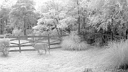 DSCF0149