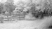 DSCF0156