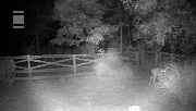 DSCF0163
