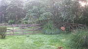 DSCF0188