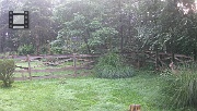 DSCF0191