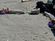 IMG_2141