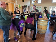 IMG_8560