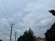 IMG_1669