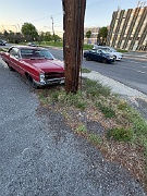 IMG_9152