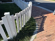 IMG_3539