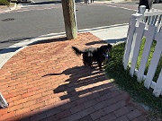 IMG_3541