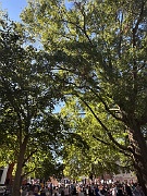 IMG_3618