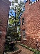 IMG_3672