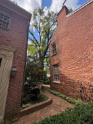 IMG_3673
