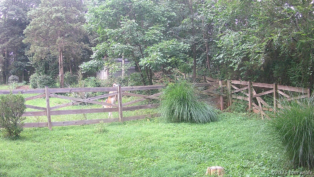 DSCF0006