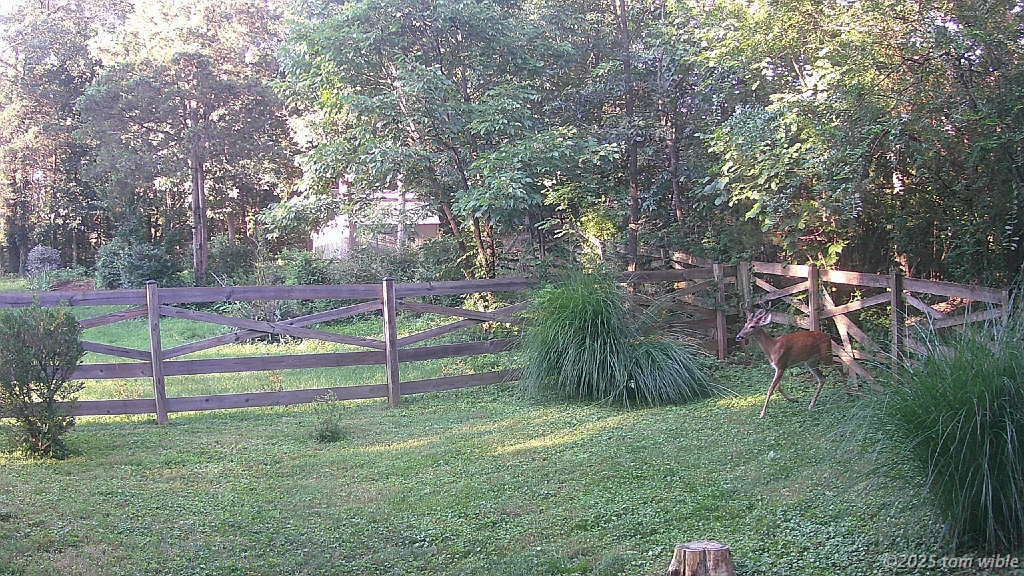 DSCF0050