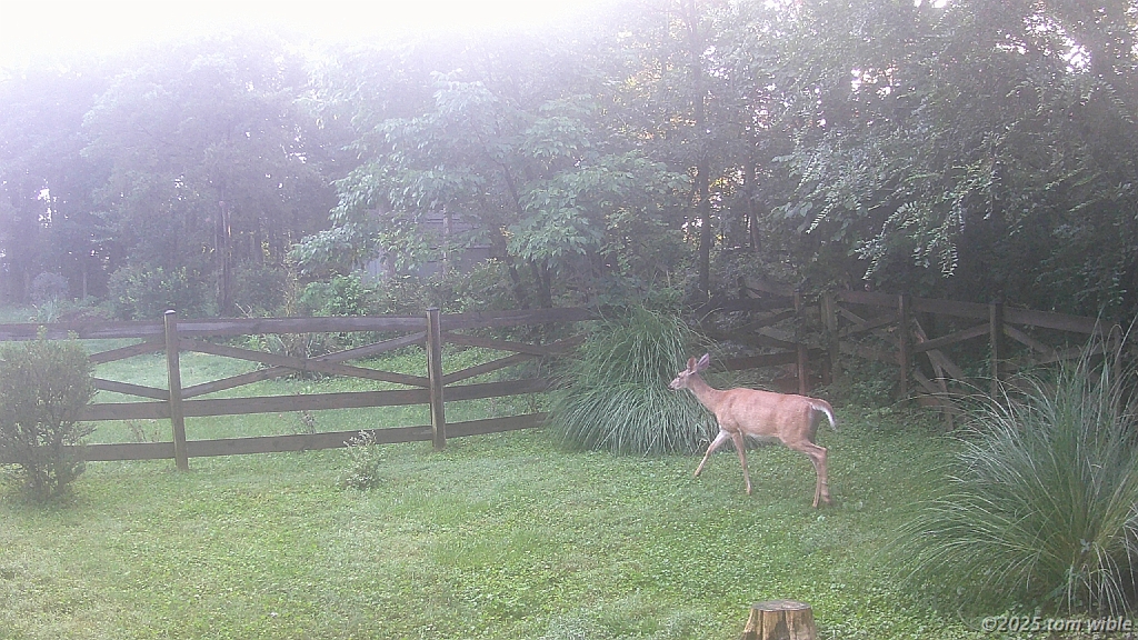 DSCF0074