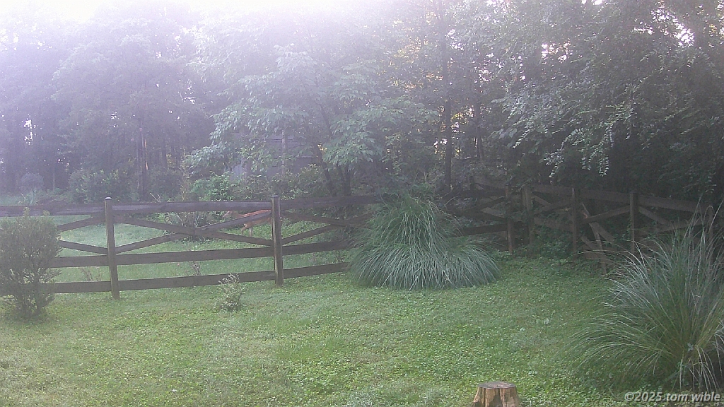 DSCF0080