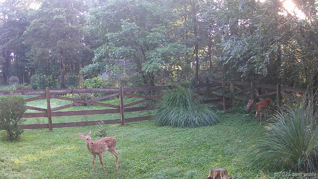 DSCF0082