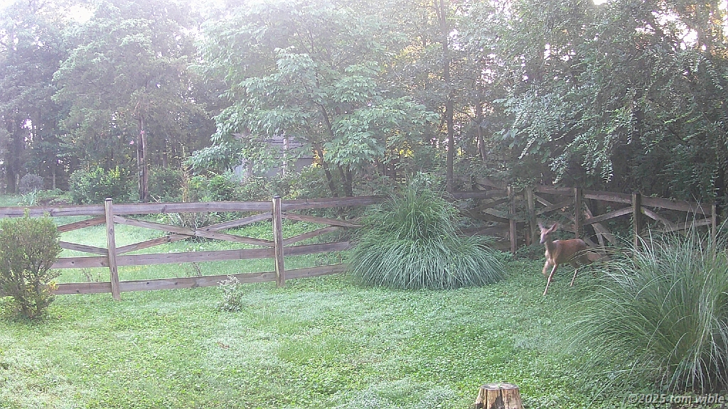 DSCF0108
