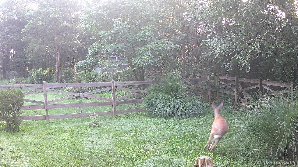 DSCF0116