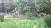 DSCF0006