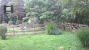 DSCF0007
