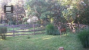 DSCF0051